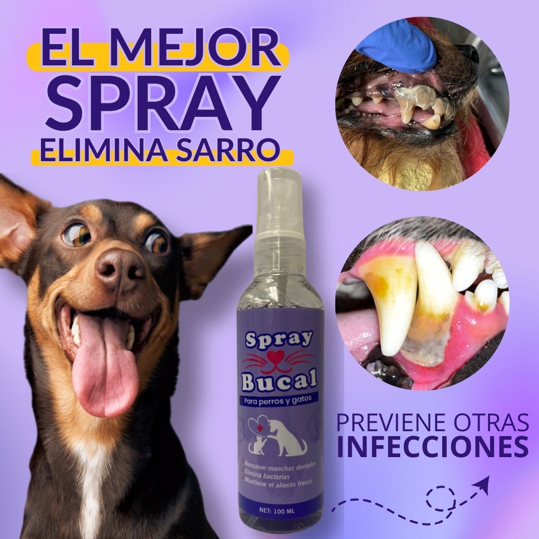 Fresh Pet®: Aliento fresco y encías saludables en segundos🌿